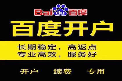 SEM代运营机构案例分析：优化策略详解